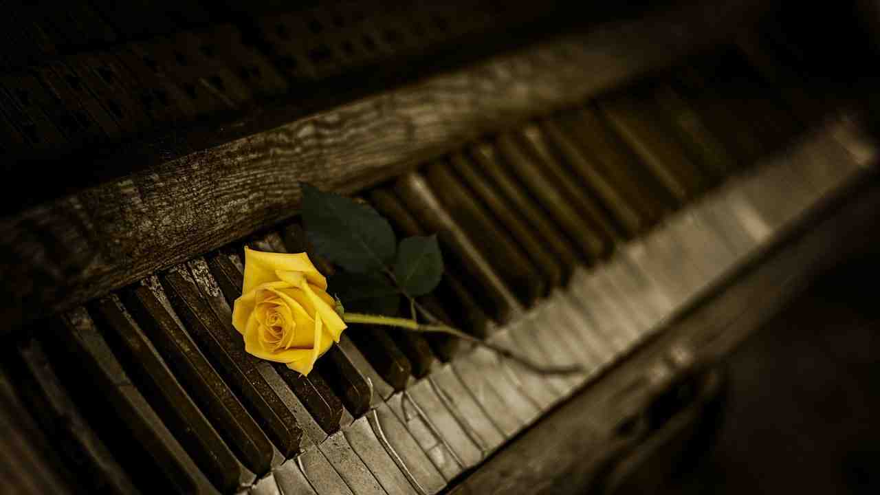 piano, rose, jaune